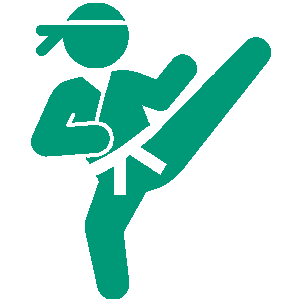 Artes marciales