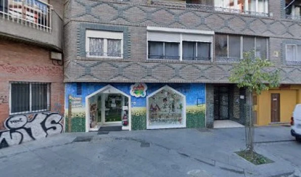 María Concepción del Del Amo Hernández