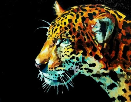 Academia de Arte Johnny Cool