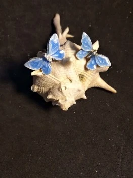 LaNuevaJoyeria