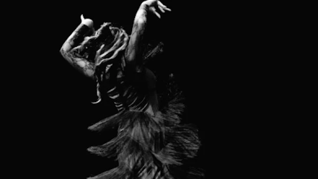 Centro Flamenco El Duende De La Sole