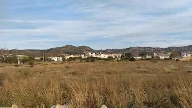 Policía Local de Castelló