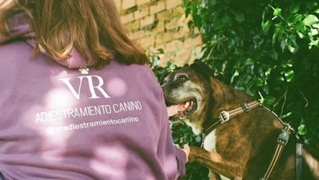 Adiestramiento canino VR