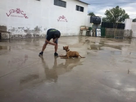Ludocan Parque Canino