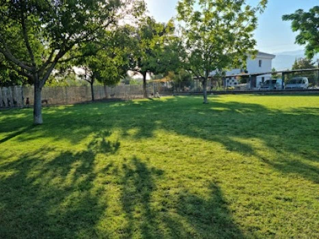 Residencia Canina El Sagasta