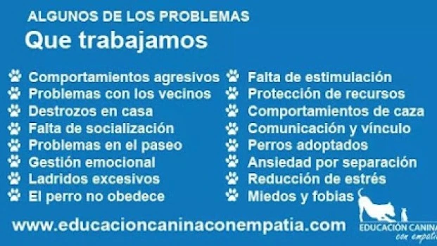 Educación Canina Con Empatía