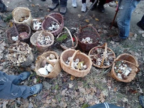 ecoturnava