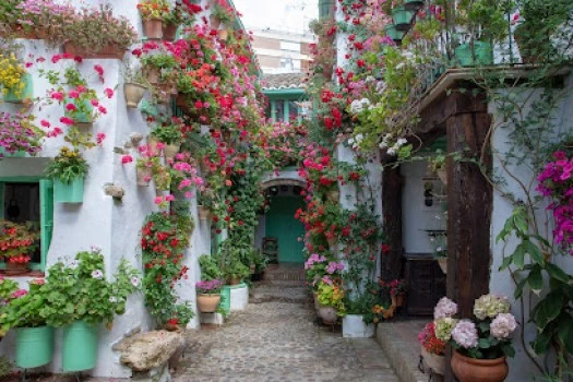 Patios de San Basilio