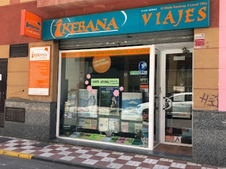 IKEBANA VIAJES