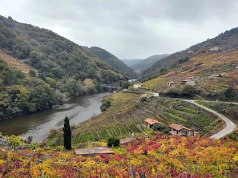 Arribeirados