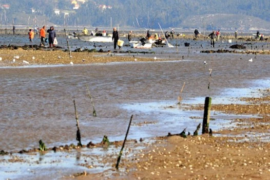 Corticata Turismo Medioambiental - Isla Cortegada