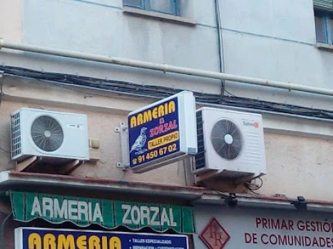 El Zorzal