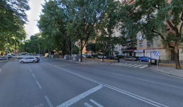 Autoescuela Árbol