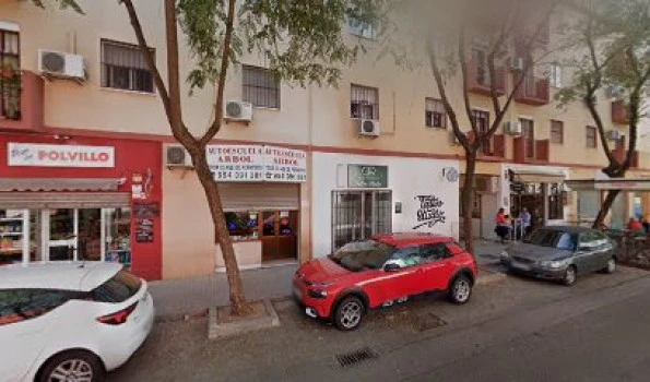 Auto Escuela Árbol S L
