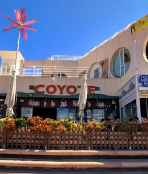 Bar Coyote