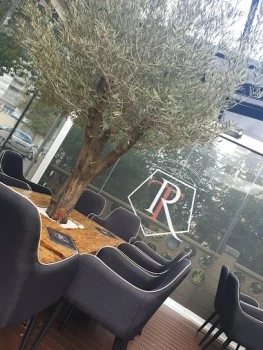 Tirano's Shisha Alicante