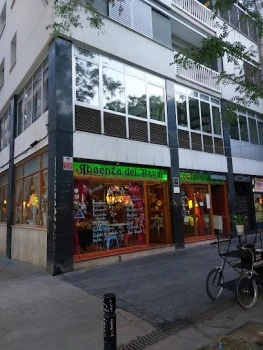 Absenta del Raval