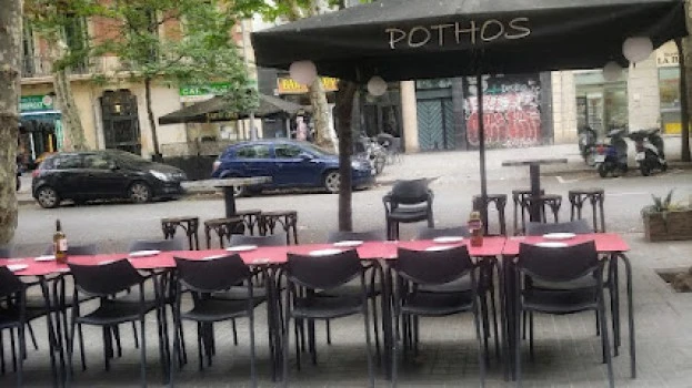 Bar Pothos