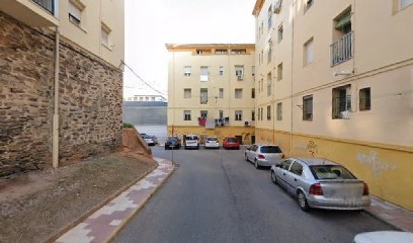 Vegetacion De Los Parques De CacereS