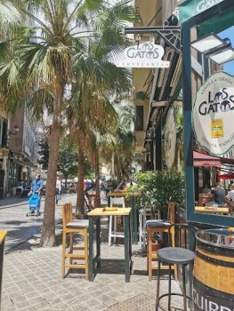 Los Gatos