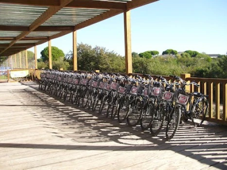 BICICLETAS VALDÉS