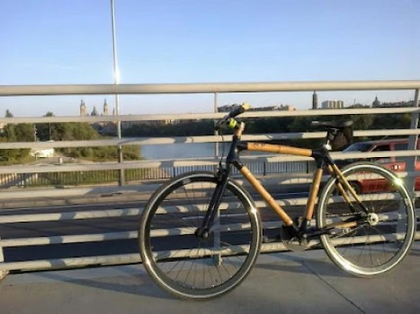 Bambú Campos Bikes