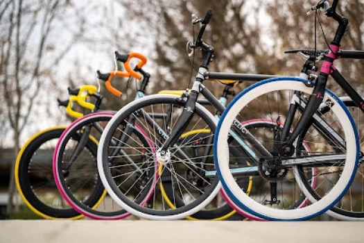 CYCLIC URBAN BIKES