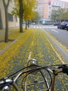 Bizi Zaragoza
