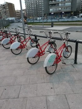 Bizi Zaragoza (15)