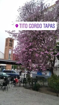 Tito Gordo Tapas