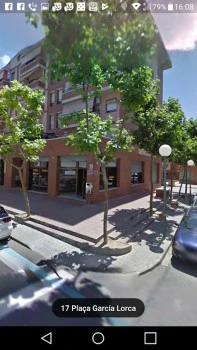 Bar paloma torreforta