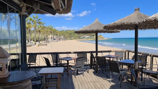 Surfer's Bar