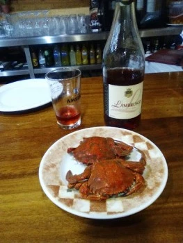 Bar Salva