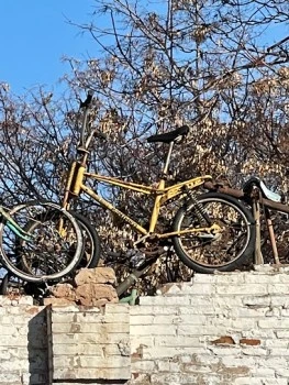 Biciclot