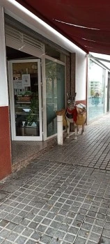Café Javyra
