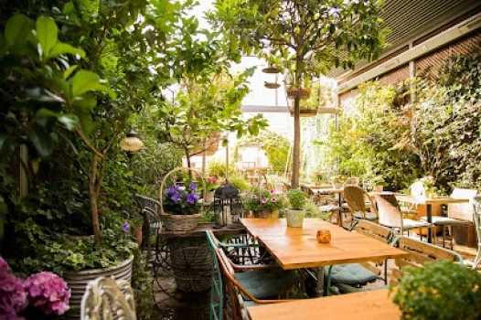 El Jardín de Salvador Bachiller