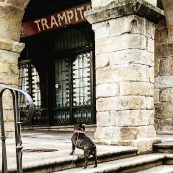 TRAMPITAN