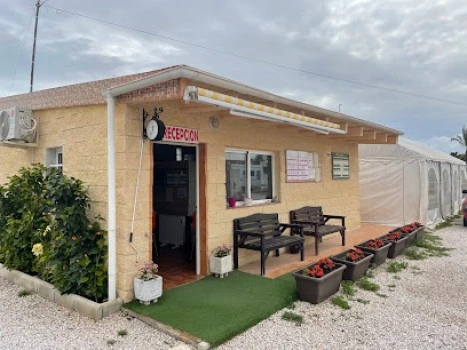 Camper Park San Fulgencio - Camping