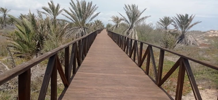 Playa Rebollo