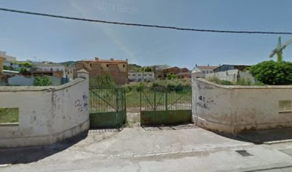 Campo ms3