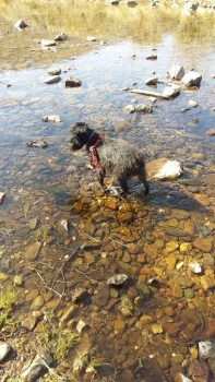 Camping Libre