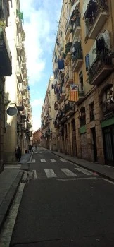 Fustes Ciutat Vella
