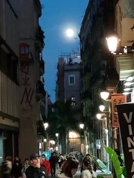 Mucci Emprendimientos S L