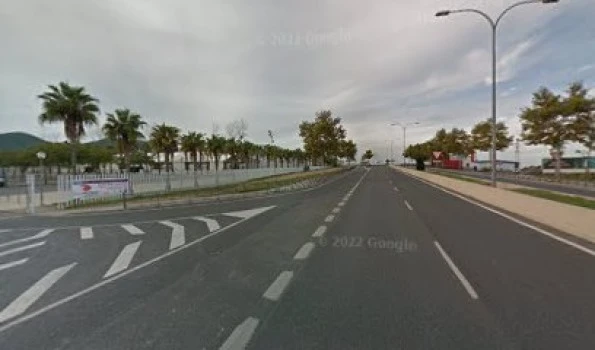Vinyes