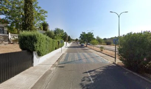 Olias del rey