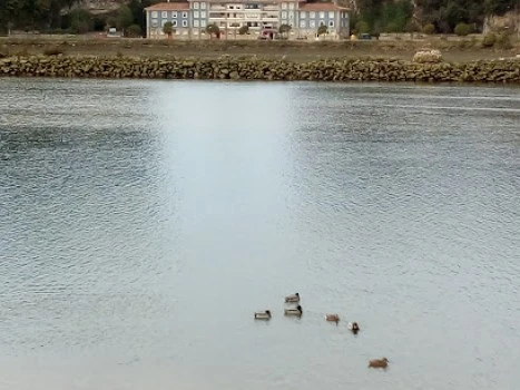 Colegio Oficial de Fisioterapeutas del País Vasco