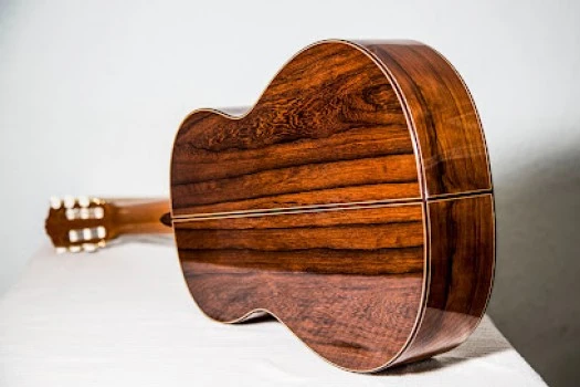 Escuela Taller de construcción de guitarras Pavel Gavryushov