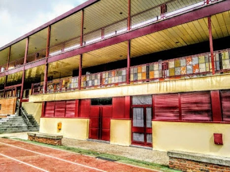 Colegio San Patricio El Soto