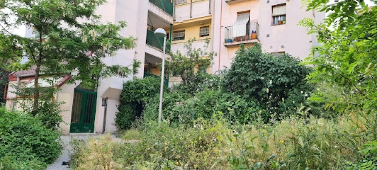 CEIP AMÓS ACERO