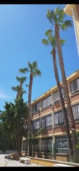 CEIP Guadaljaire Alborada